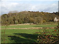 Looking towards Brandeston Bridge