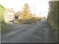 Houses along Hammill Road