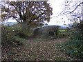 Footpath junction on Slwch Lane near Brecon