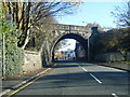 Frog Lane passes under the WCML