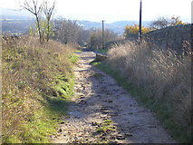 SE1943 : Lane on Guiseley Moor by John Illingworth