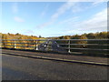 TG2305 : A47 Norwich Southern Bypass by Geographer