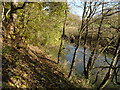 River Wreake in autumn