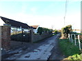 Lane leading to Swanley Farm, near Eastchurch