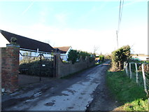 TR0072 : Lane leading to Swanley Farm, near Eastchurch by Chris Whippet