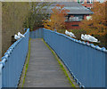 Gulls on a footbridge