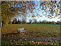 Autumn on Plumstead Common