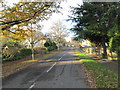 Holme Grove - Menston Old Lane