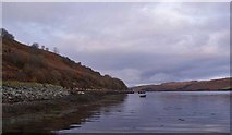 NG3732 : Shore of Loch Harport by Richard Dorrell