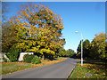 Green Lane, Burnham