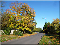 SU9383 : Green Lane, Burnham by Des Blenkinsopp