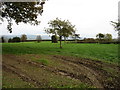 Farmland near Hill Barn