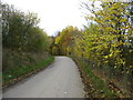 The lane from Much Marcle