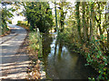 Stream by Mill Lane, Steep