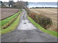 Farm road leading to Gelston Farm