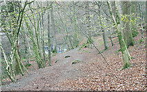 NY3804 : Footpath leading to Stockghyll Force by Trevor Littlewood