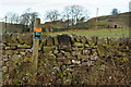 Footpath to Loss Gill, Hebden, Yorkshire