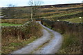 Edge Top (lane) towards Loss Gill near Hebden