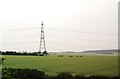 Pylon by the M11