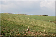 SS0497 : Farmland near Swanlake Bay by N Chadwick