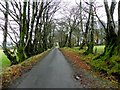 Slievebeg Road, Derbrough