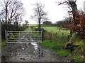 Gate and lane, Derbrough