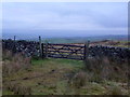 Gate in dry stone wall