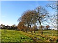 Farm track, High Dyke