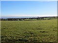 Pasture, Castlebrocket