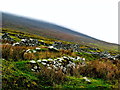 F6307 : Achill Island - Deserted Village - Cottage Ruins, Grass & Heather & Mountainside by Joseph Mischyshyn
