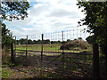 Abandoned pasture by Ashford Lane