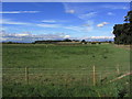 View towards Stone Hill Farm from Youldholes Lane, Everton, Nott