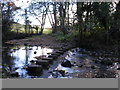 Stepping stones across Little Beck