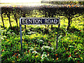 TM2691 : Denton road sign by Geographer