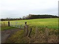 Field north of Ponteland