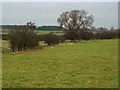 Field and hedgerow near East Smallburn Bridge