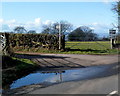 Turn left for Dinmore Cottage and Bryn Glas Cottage near Crumbland Plantation 