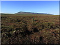 H1530 : Blanket bog on Ulster Way - View towards Cuilcagh by Colin Park