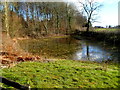 Pond near a road junction south of Llanishen