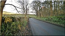 SK1863 : Descending Rake Lane towards Middleton-by-Youlgreave by Chris Morgan