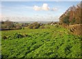 Pasture and wood, Lower Beavor