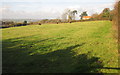 Cattle pasture, Red House Farm