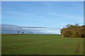 Farmland and Millans Wood