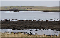 HP6208 : Low tide on the voe at Baltasound by Mike Pennington