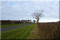 Road in Scatter Dale