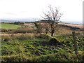 Tullyard Townland