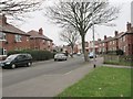 Sycamore Avenue - Meadow Lane