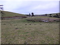 Pool in the pasture