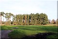 Woodland on the Cholmondeley Castle Estate