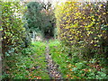 Bridleway near Glascoed Hall